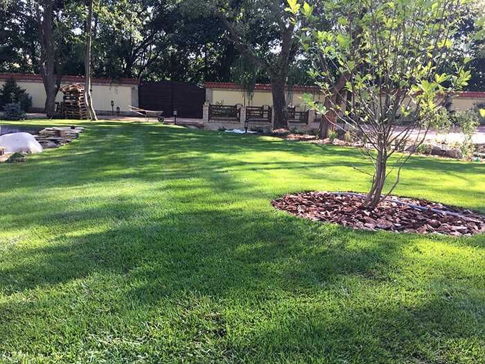 аерація вичесування газону, скарифікація, покос, підживлення газону