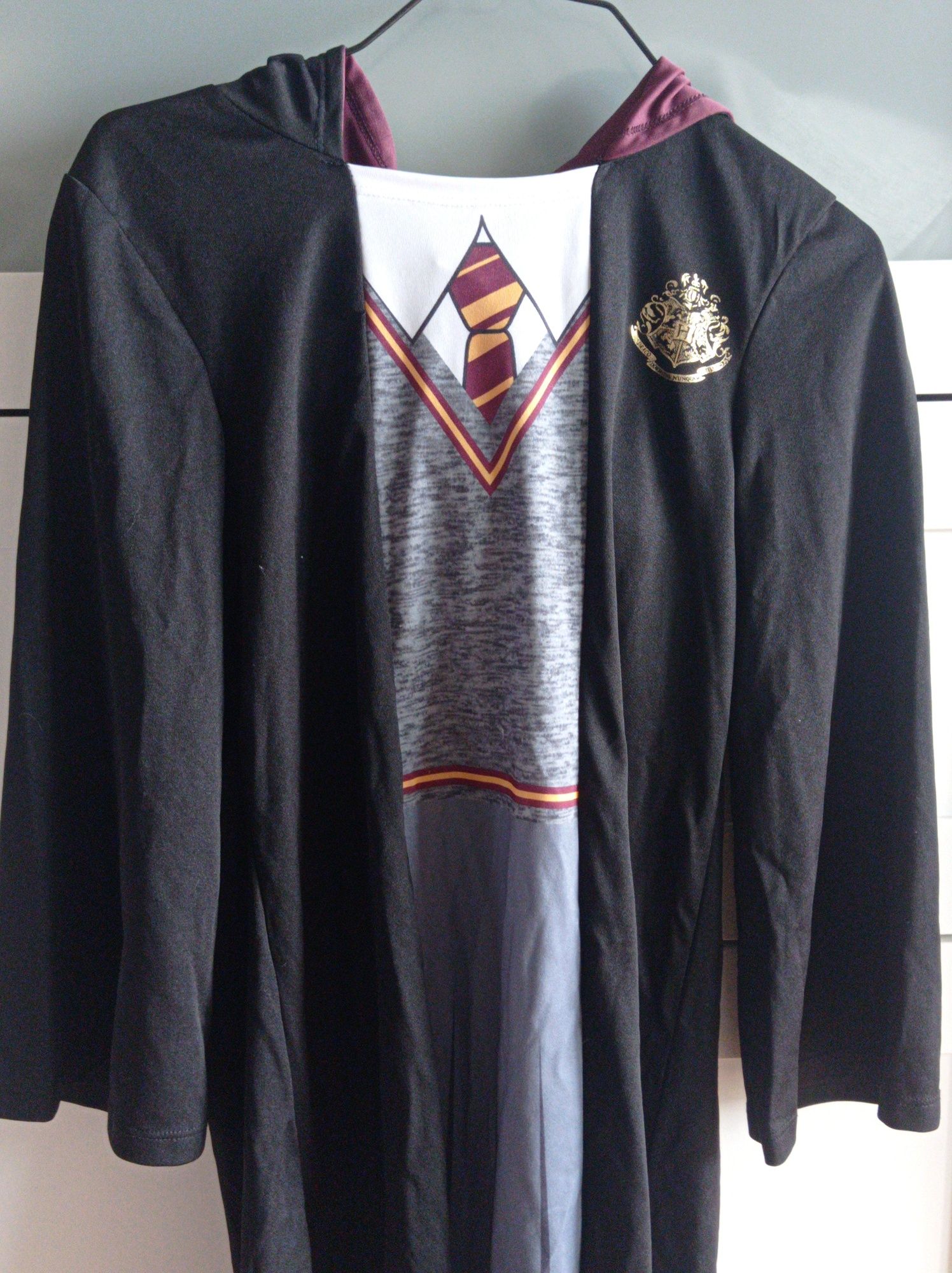 Fato Gryffindor, Harry Potter