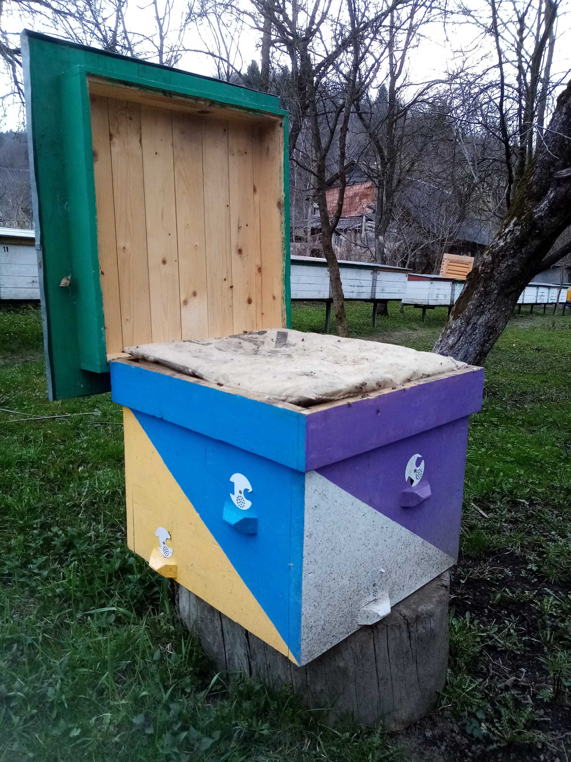 Вулики.нуклеуси.