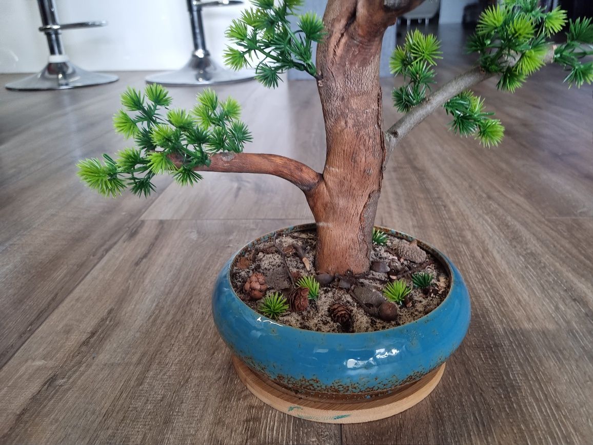 Drzewko   bonsai