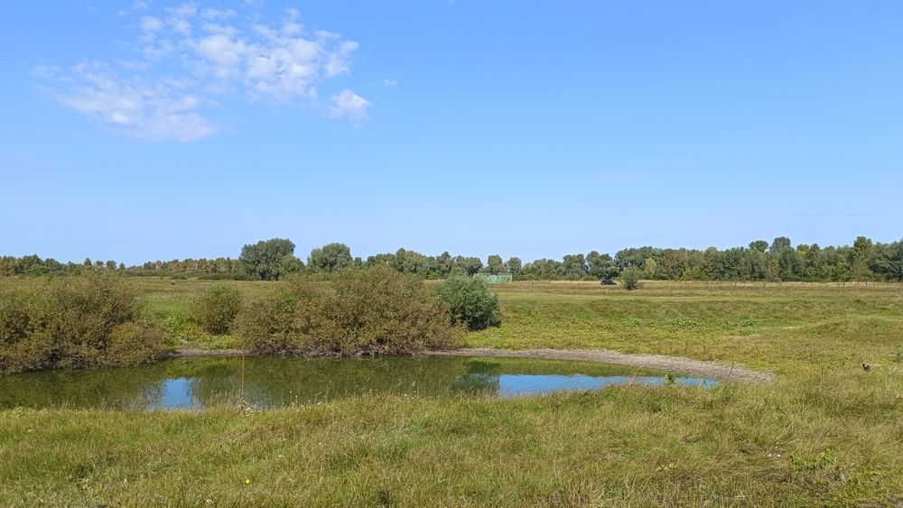 Продам ділянку в селі Літочки Броварського району Київської області