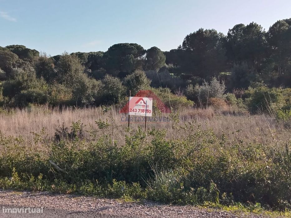 Terreno Rústico  Venda em Vila Chã de Ourique,Cartaxo