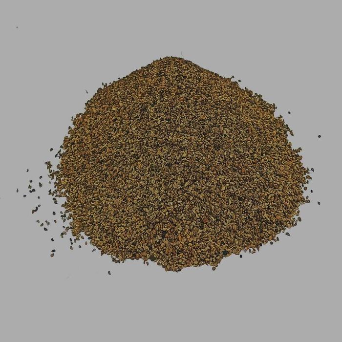 Петрушка насіння