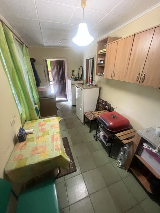 Калинка велика керниця