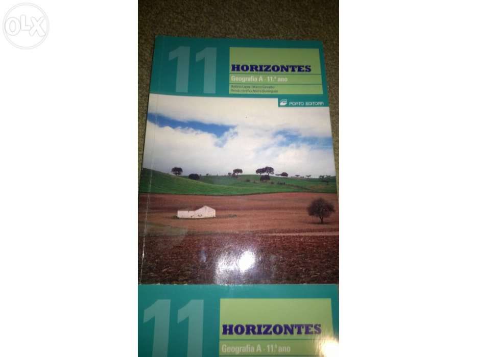 Livro Geografia 11ºano Novos Horizontes