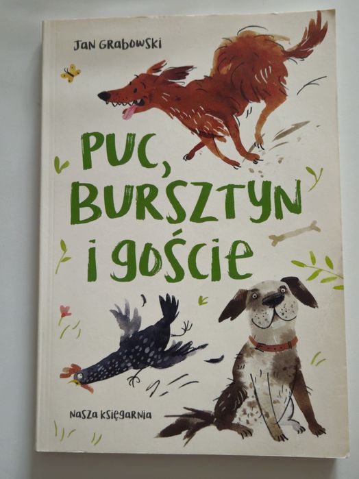 Puc, Bursztyn i goście