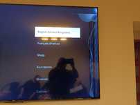 Telewizor TCL 58 cali LED z uszkodzoną matrycą