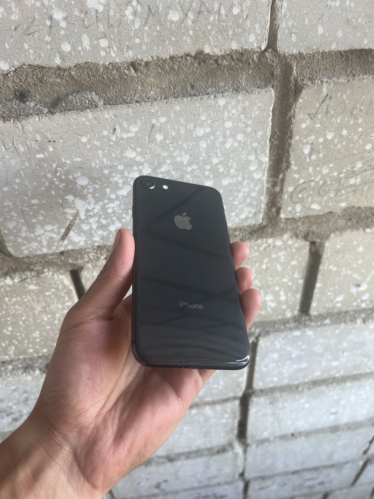 iPhone 8 / 256 ГБ
