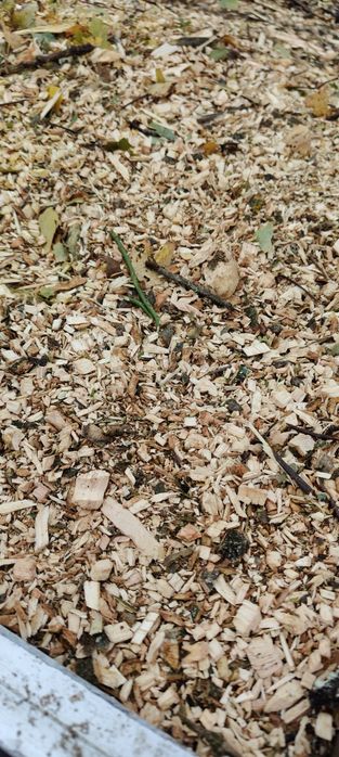 Zrąbke, troty, kora, materiał do ściółkowaniaa