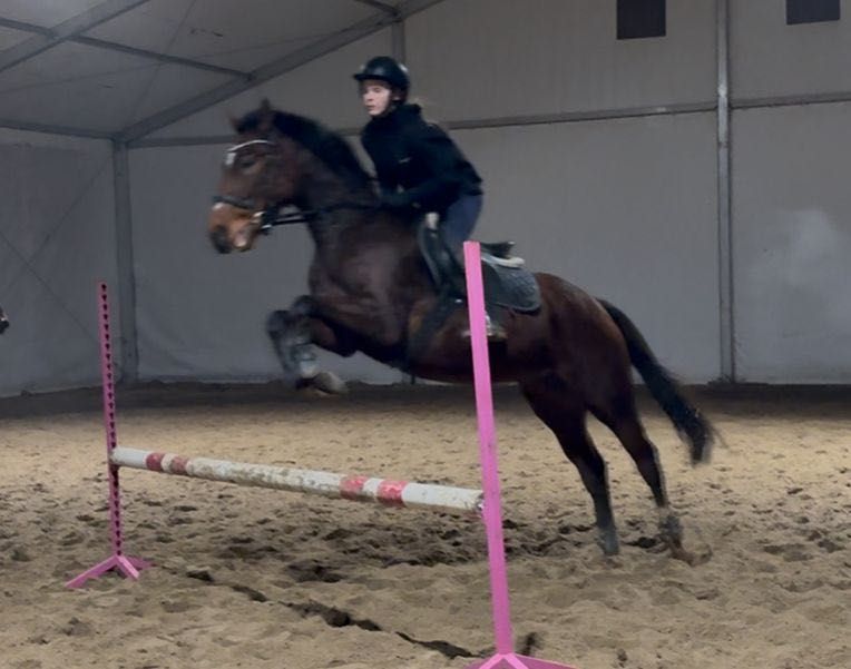 Cudowna Klacz dla Amatora