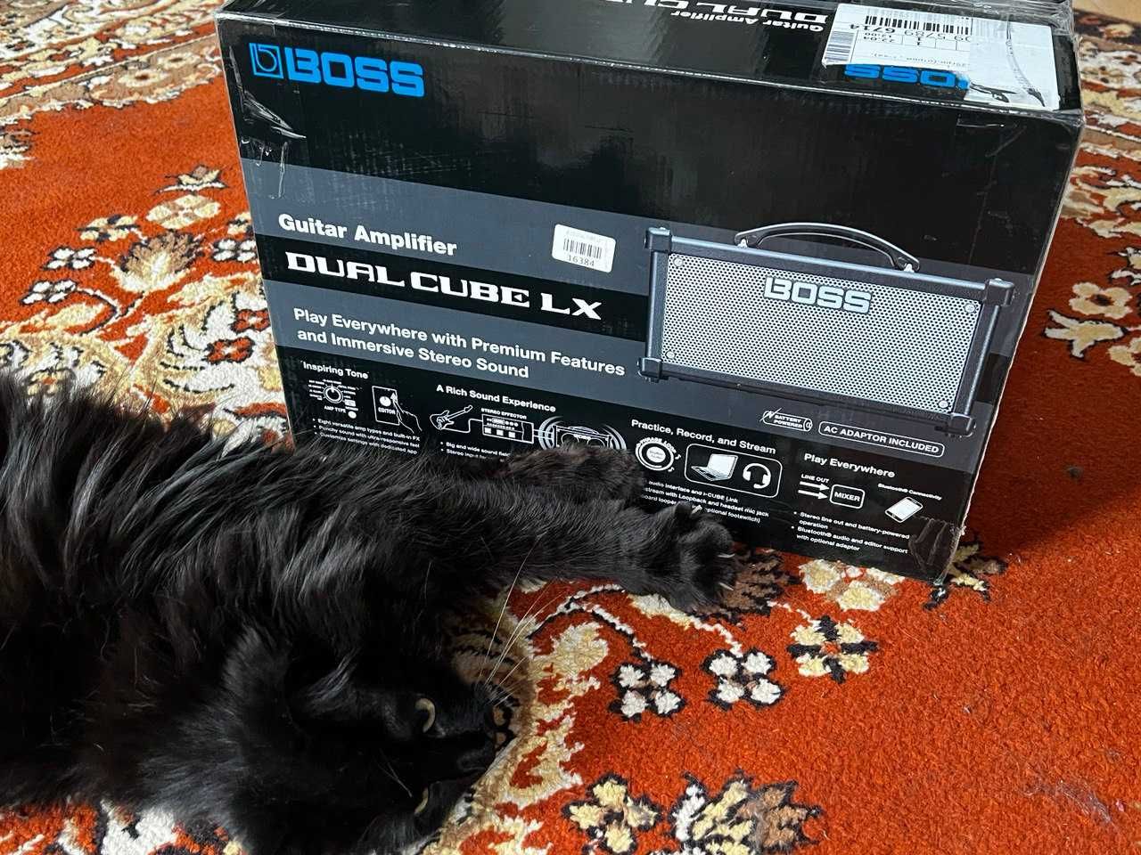 Гітарний комбік Boss Dual Cube LX