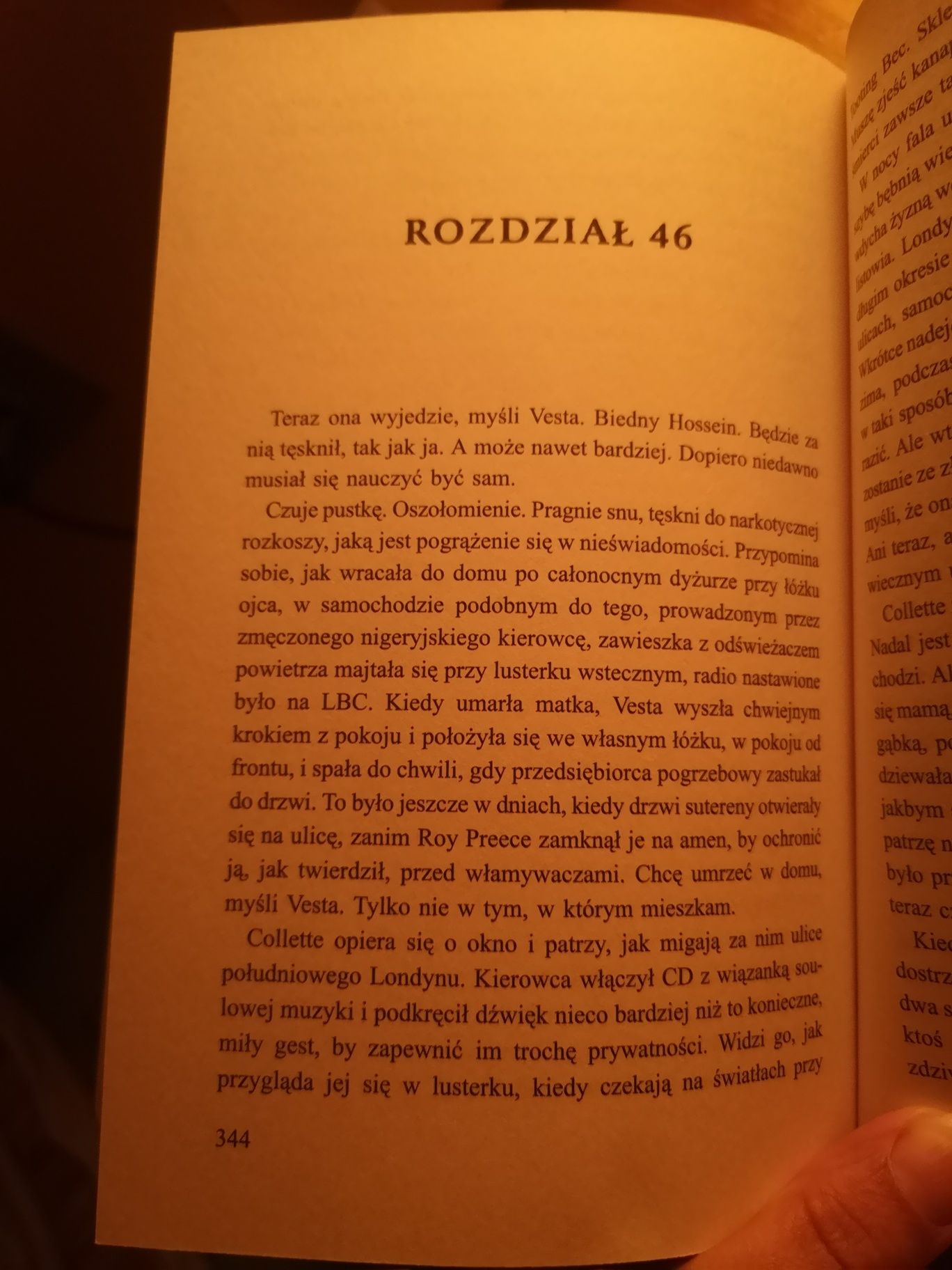 Książka "zabójca z sąsiedztwa"