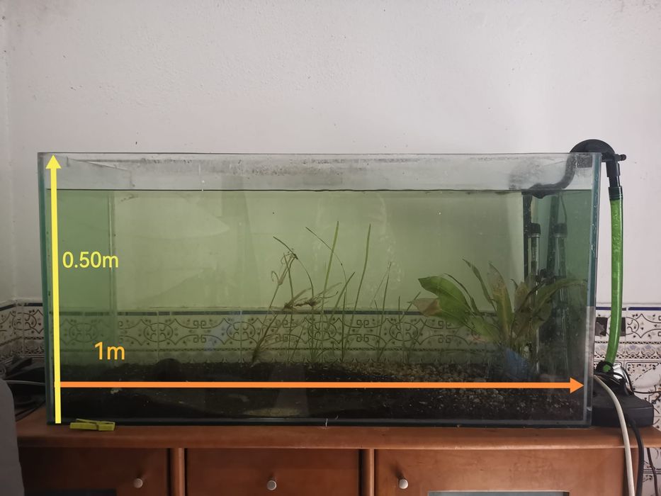 Aquario 1mX40cmX50cm