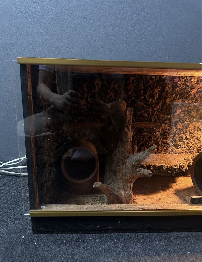 Terarium dla węża/gekona