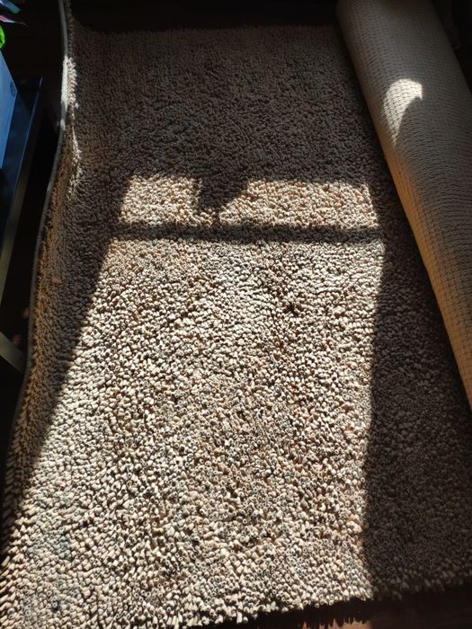 Tapete de Sala de Estar 100% lã