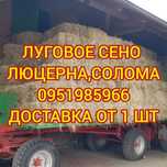 СЕНО в тюках с доставкой, сіно озиме и др виды. Большие объёмы.