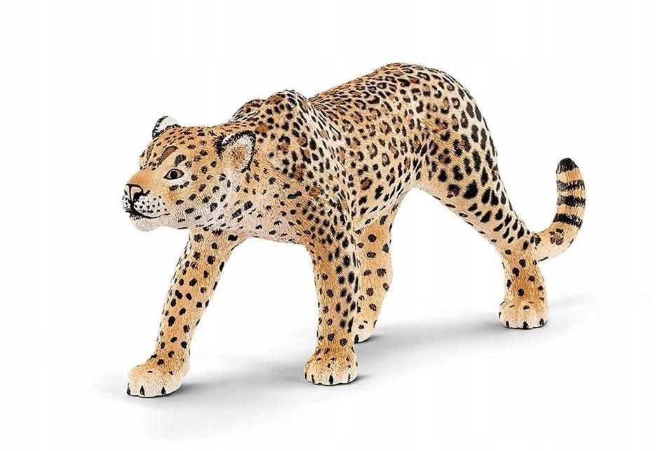 Lampart, Schleich