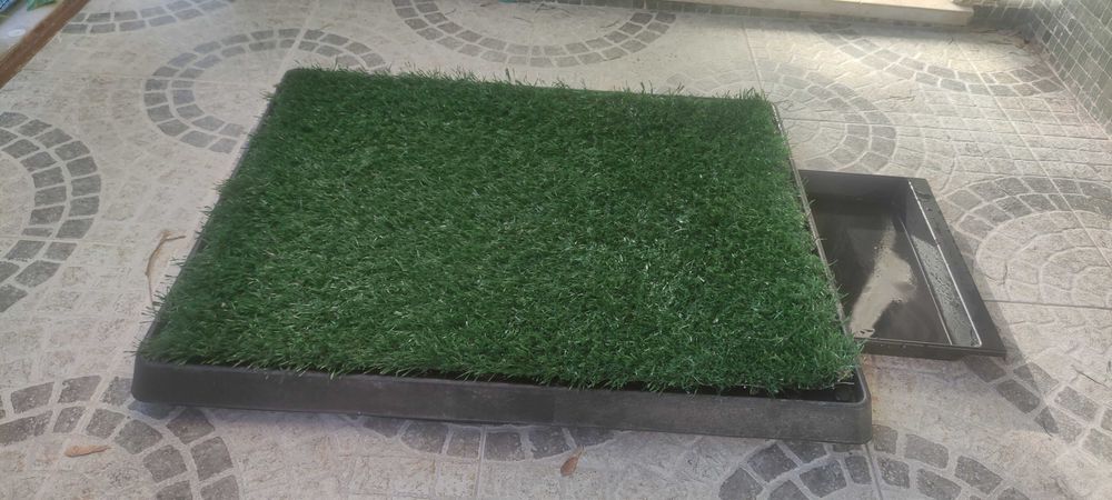 Resguardo cão com relva sintético