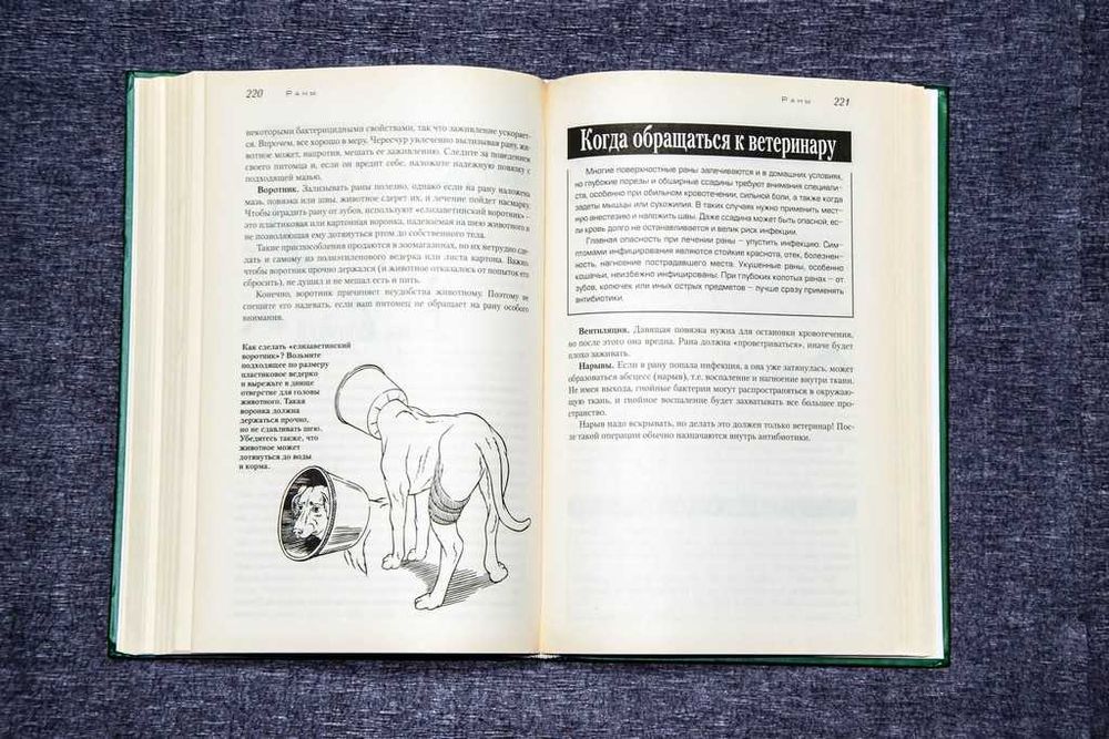 Советы американских ветеринаров. Домашний доктор для кошек и собак