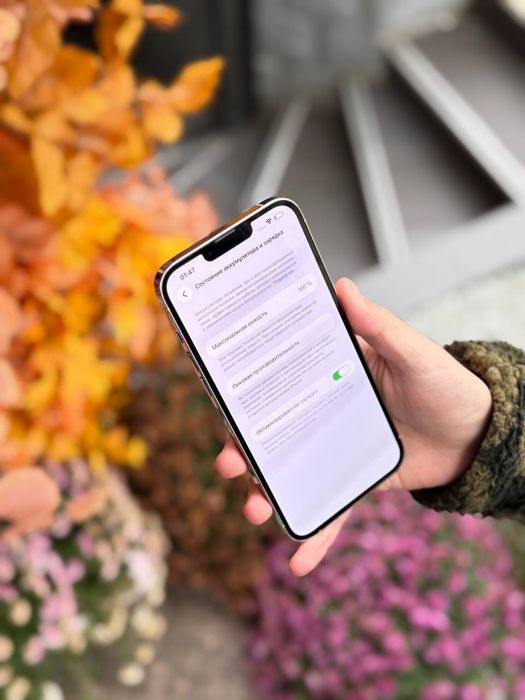 iPhone 13 Pro Max 128 GB Neverlock Гарантія