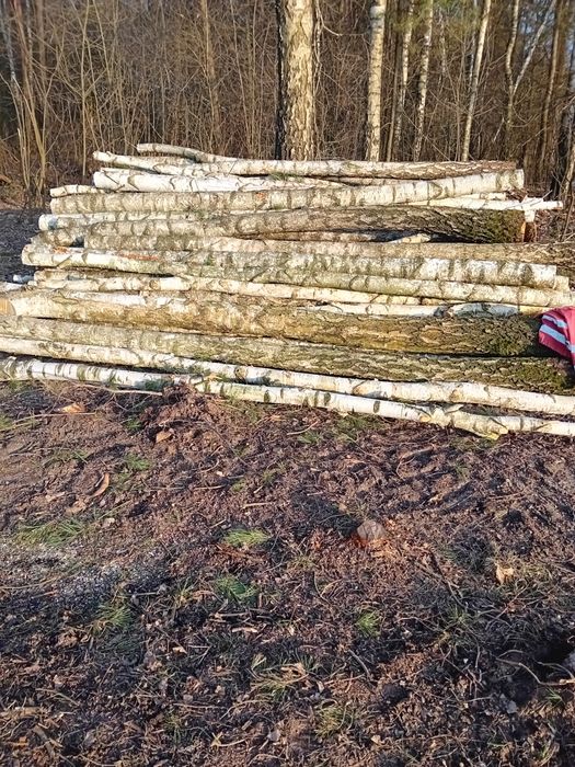 Drewno opałowe,  w wałkach sosna brzoza olcha