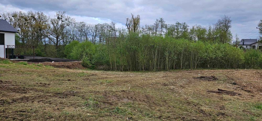 Czyszczenie działek, wycinka drzew,itp…