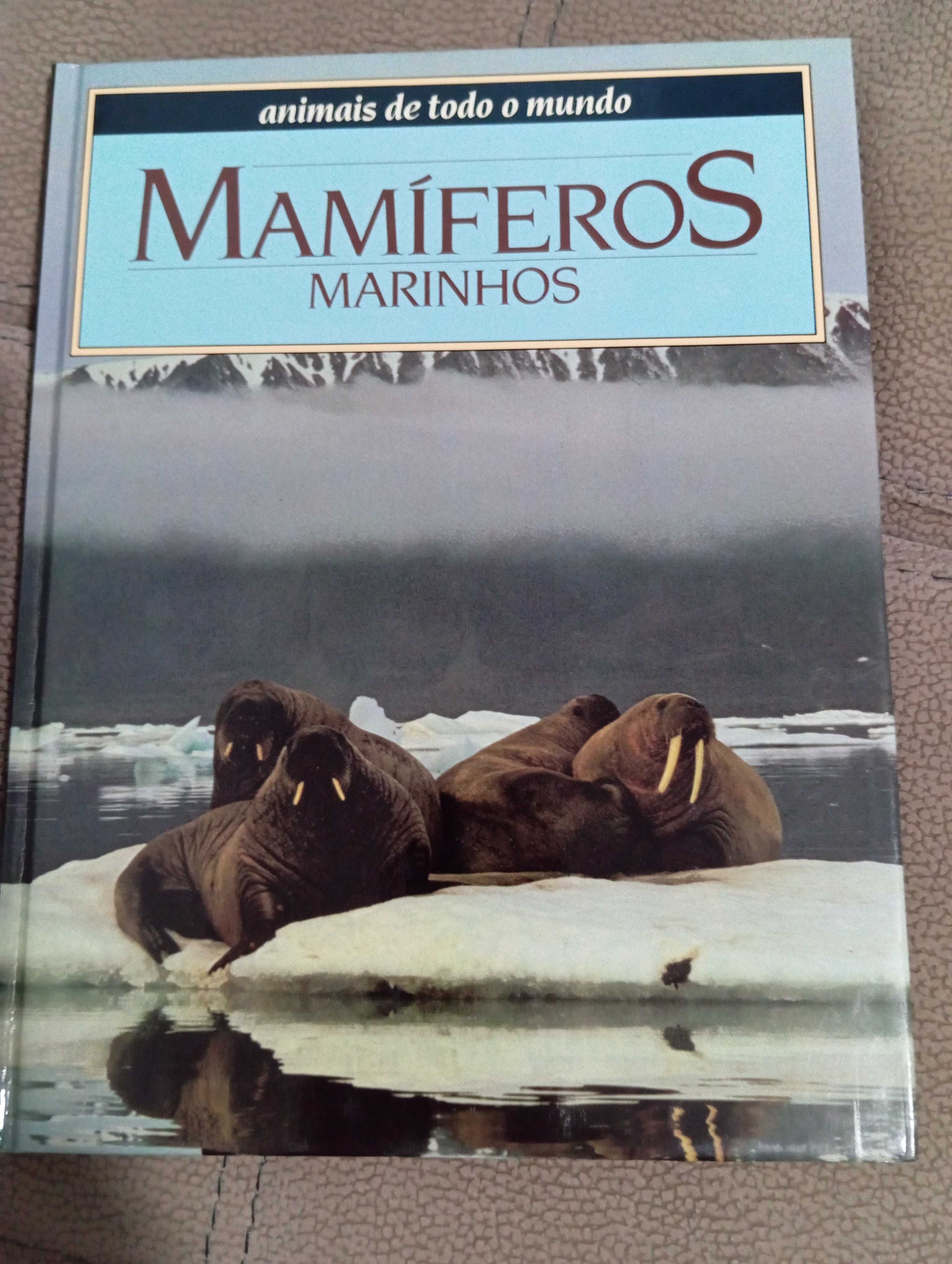 Enciclopédia de 12 livros sobre animais de todo o mundo
