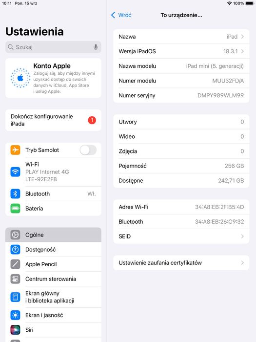 iPad Mini 5 w kolorze Space Gray - pamięć 256 GB, moduł Wi-Fi