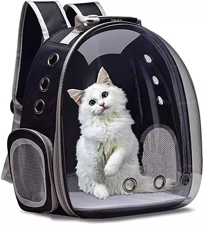 Рюкзак переноска прозрачный для кошек котов маленьких собак чёрный