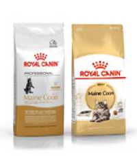 10kg Royal Canin Adult Maine Coon