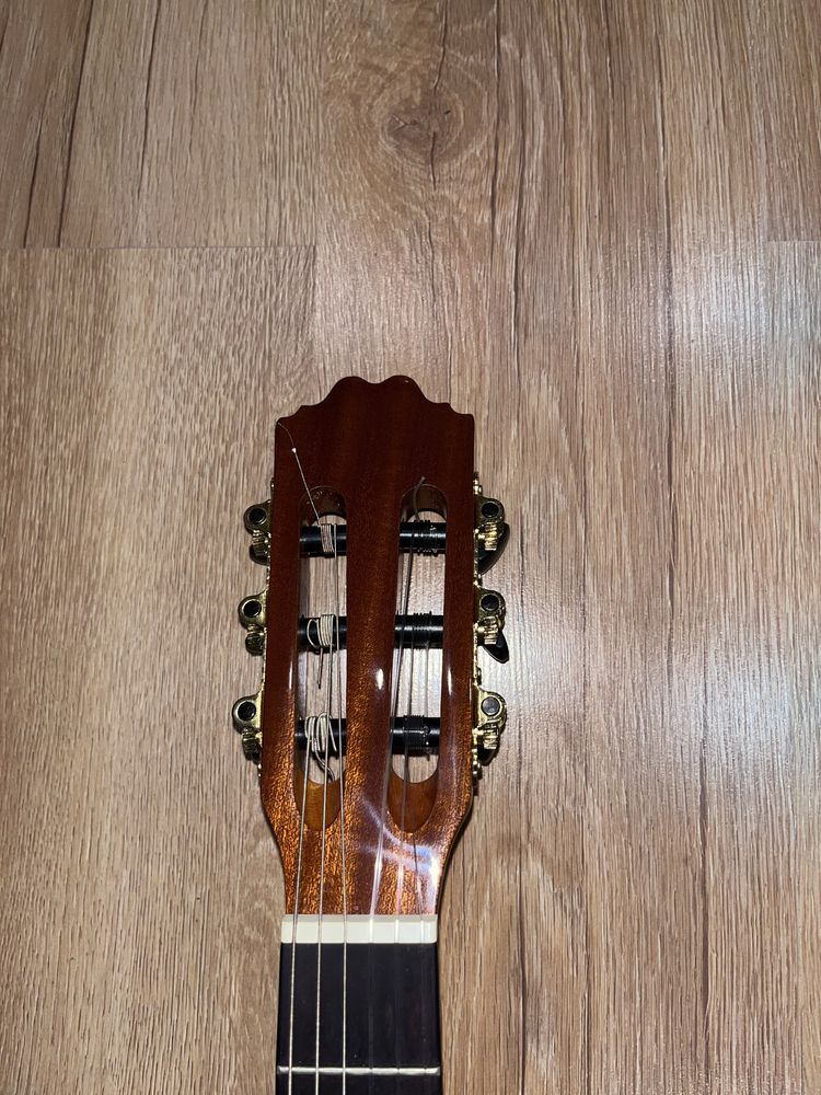 gitara zebra 3/4 ever play