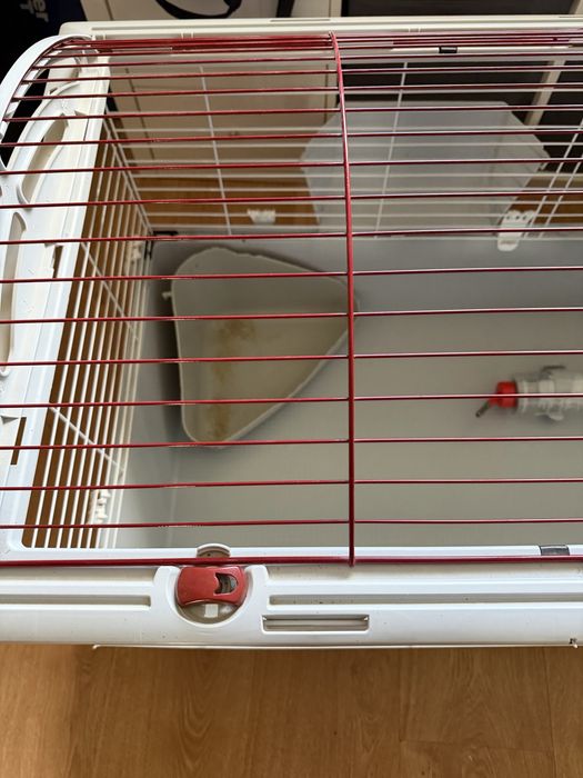 Gaiola Zolia completa para coelhos/porcos da índia