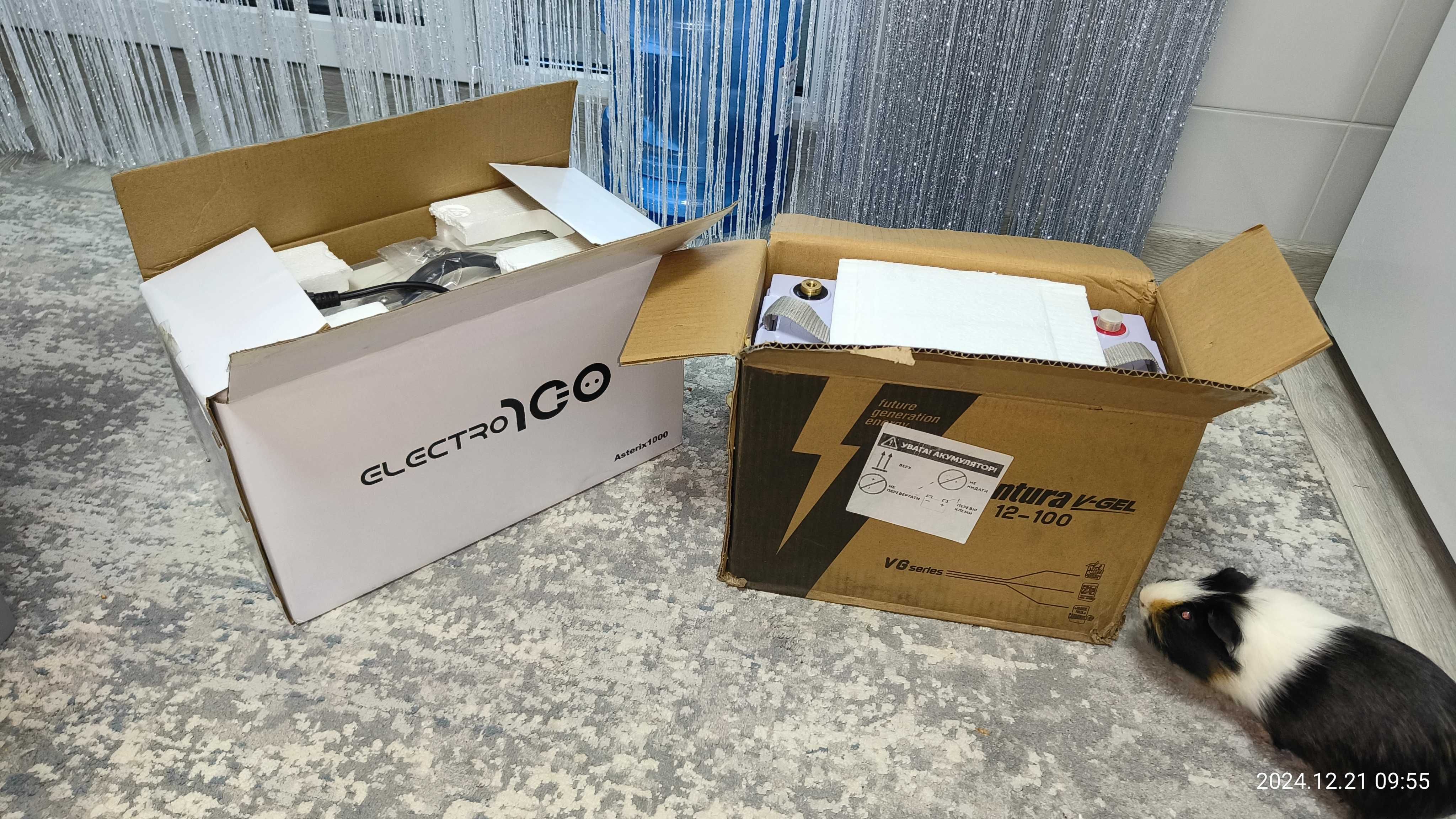ДБЖ Electro100 Asterix 1000 (700 Вт) +АКБ