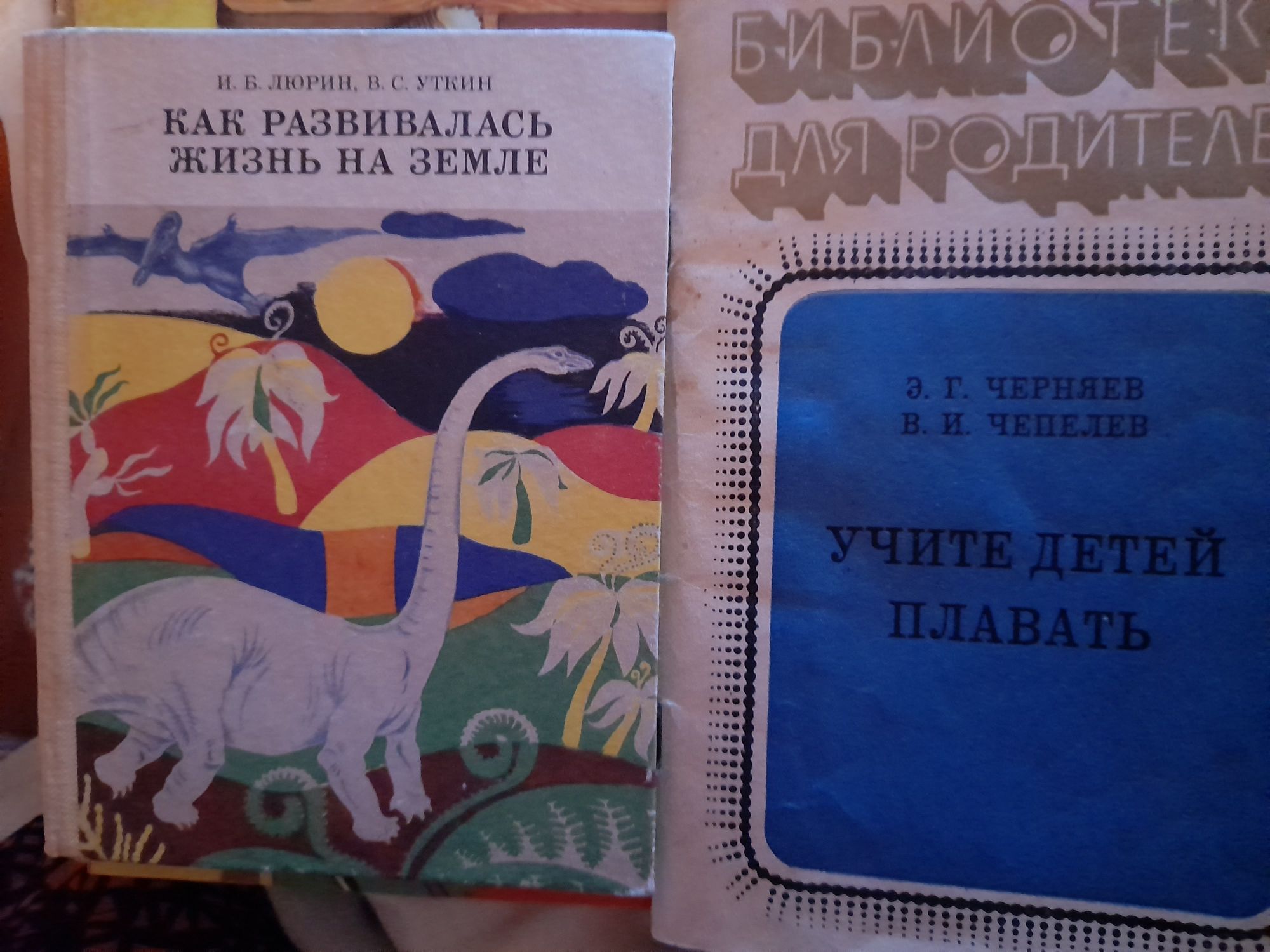 Сказки ,расскраски,как развивалась жизнь