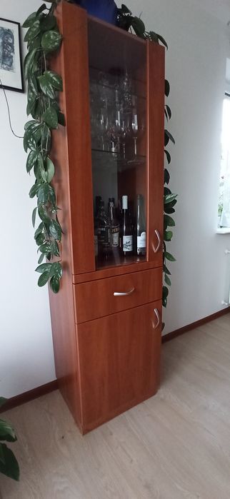 Witryna/barek z podświetleniem