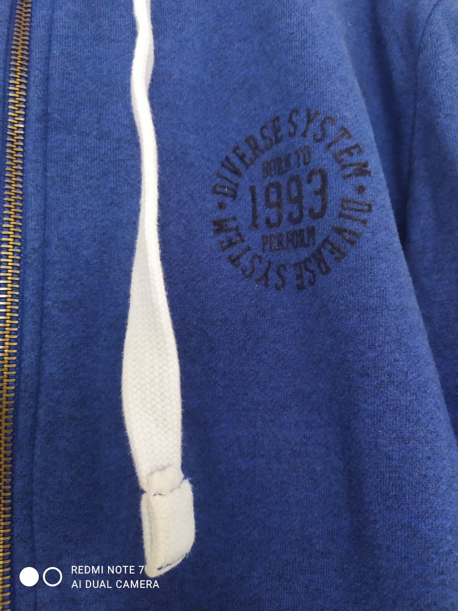 Bluza męska Diverse