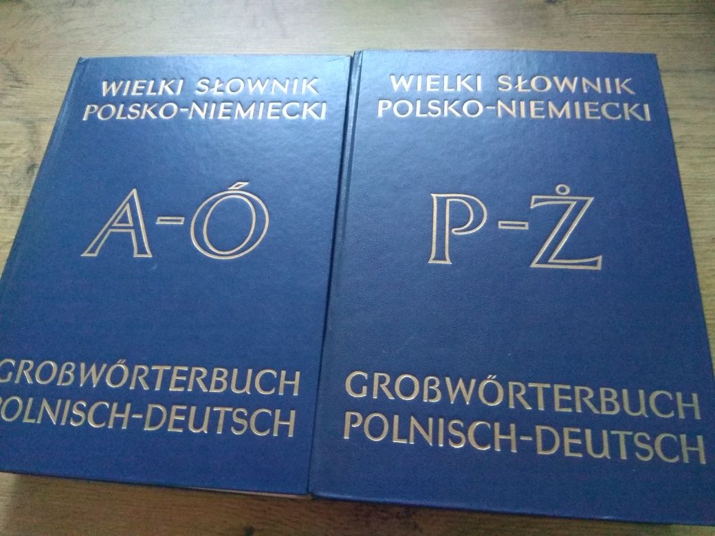 Wielki słownik polsko-niemiecki