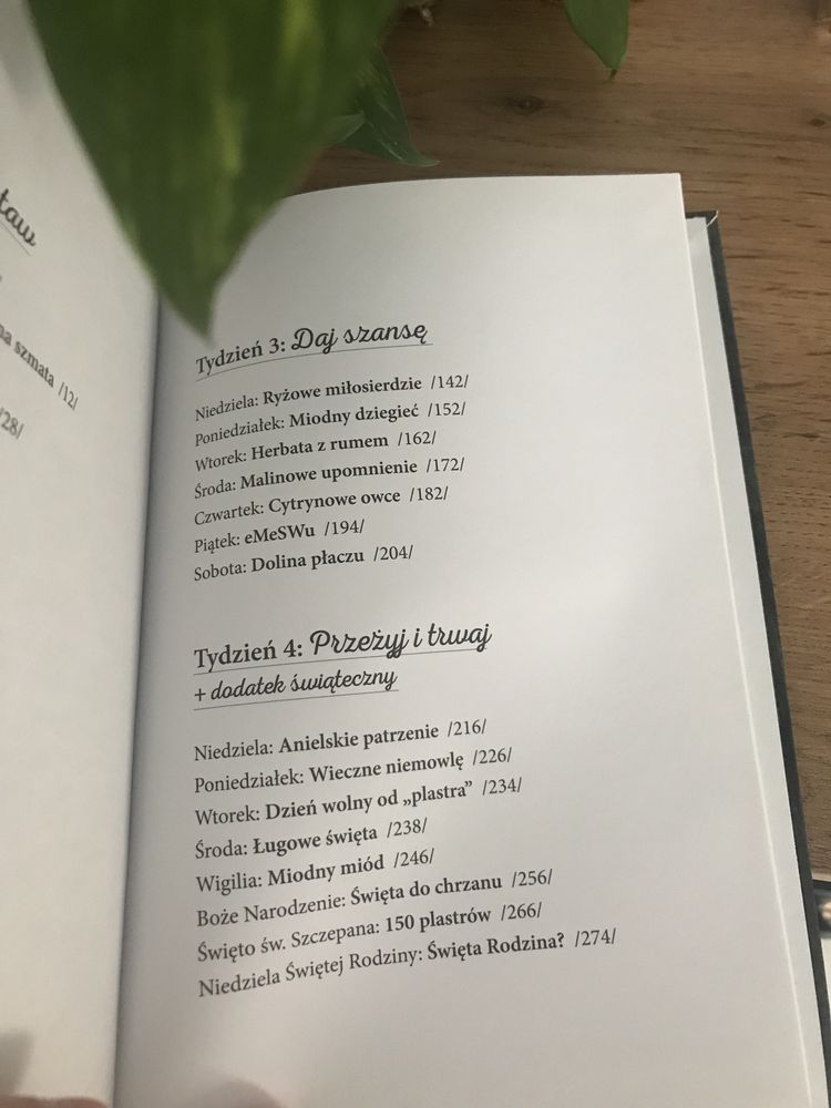Plaster miodu - Adam Szustak OP