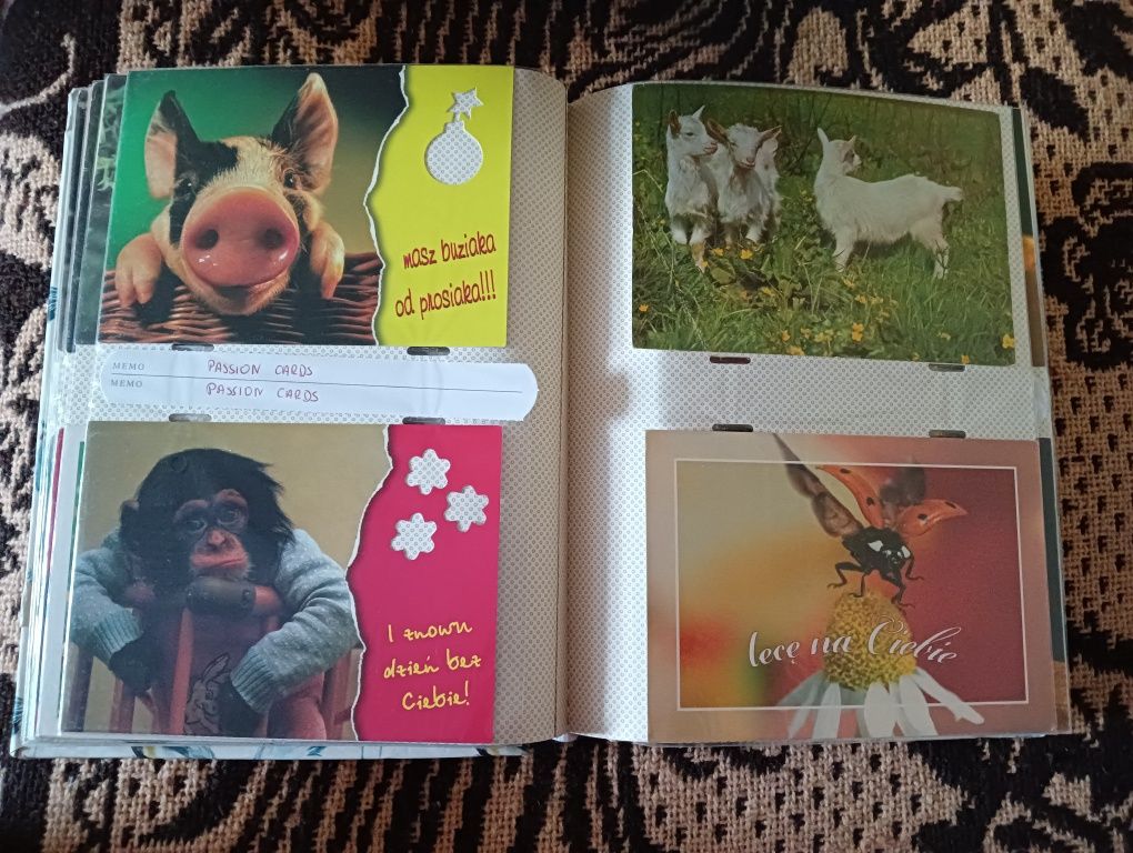 Pocztówki ze zwierzętami