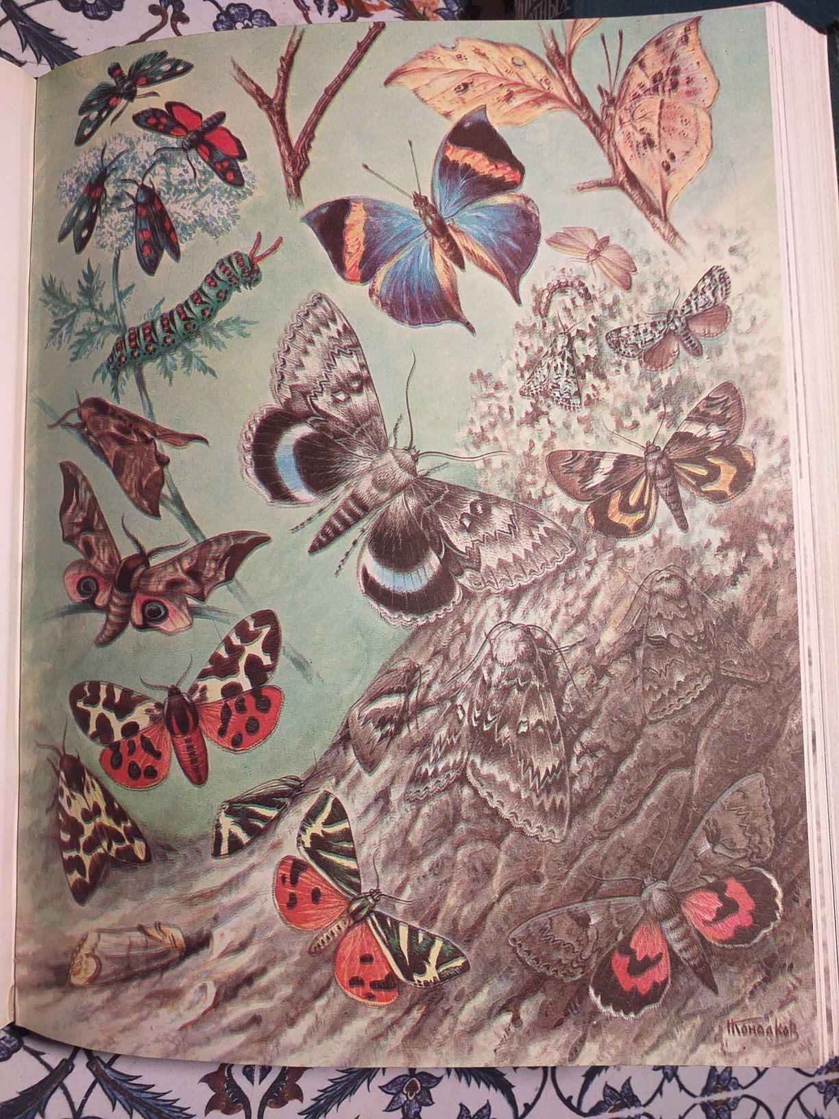 Жизнь животных 1968г.. В трёх томах. Цена за 3 книжки.