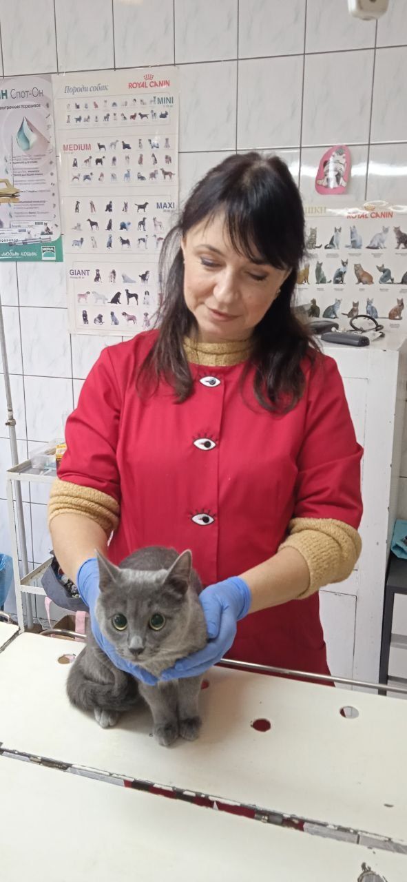 Ветеринар / Лікар ветеринарної медицини