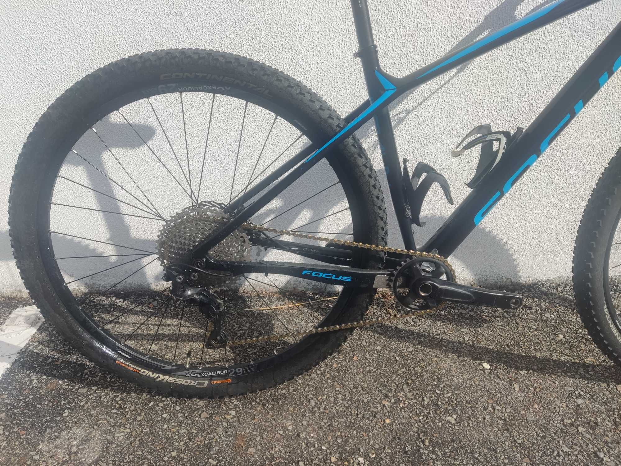 Focus raven carbono 29