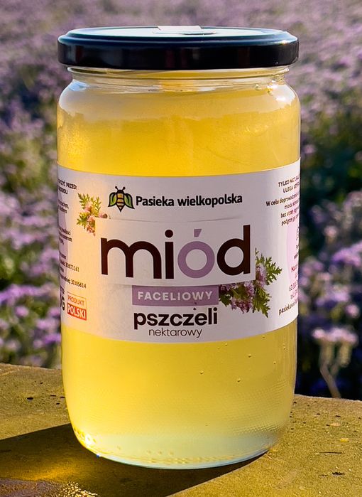 Miód faceliowy z własnej pasieki, zbiór 2024, 950g