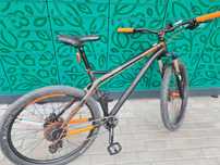Rower NsBikes Eccentric