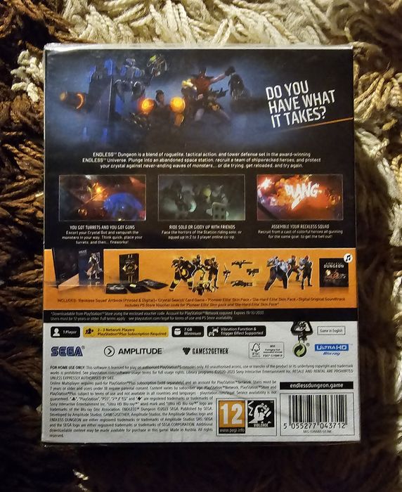 Endless Dungeon Day One Edition ps5