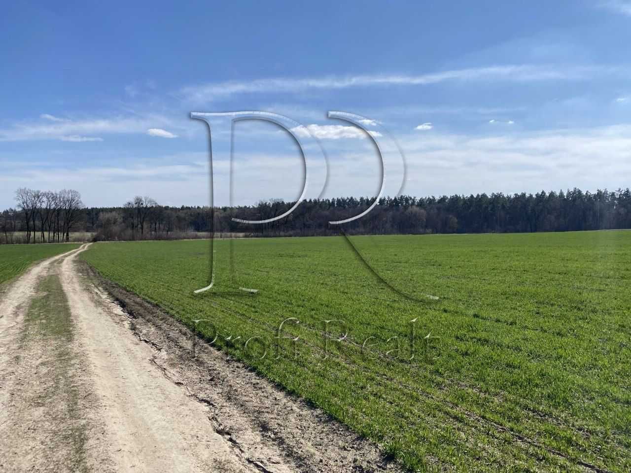 Продаж ділянки 125 соток Хотів