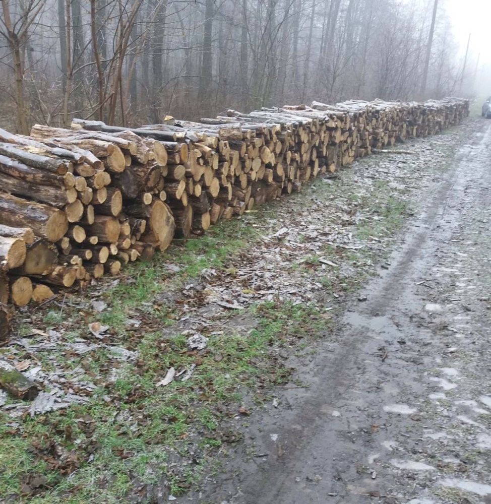 Дрова дуб,акация