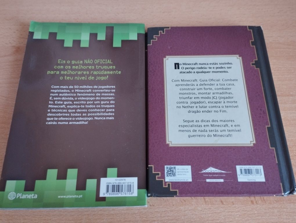 Livros de Minecraft