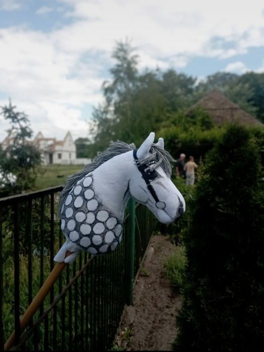 Hobby horse/ koń na patyku