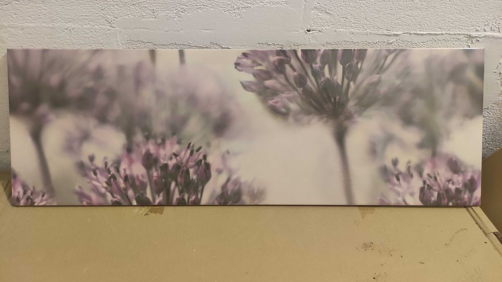 Płytki dekoracyjne, nowe, Dandelion
